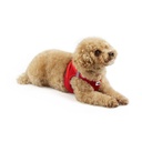 Hundegeschirr Curli Magnetic Vest V2 