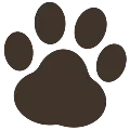 Lunas Hundewelt